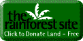 Click here to help save the Rain Forest